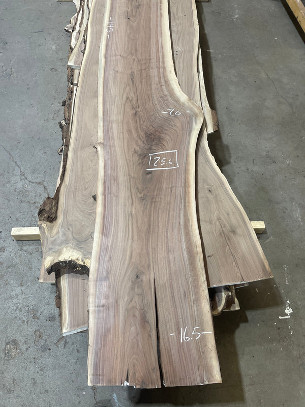 Black Walnut #BW1561