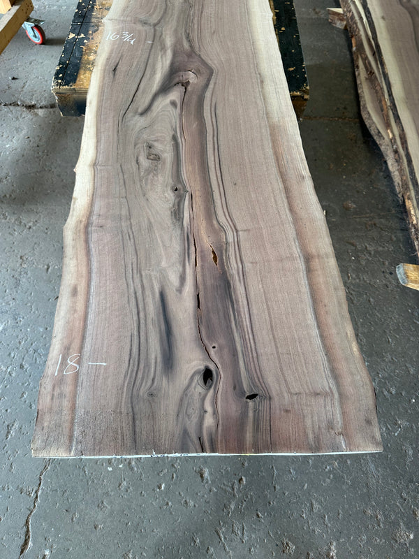 Black Walnut #BW1532