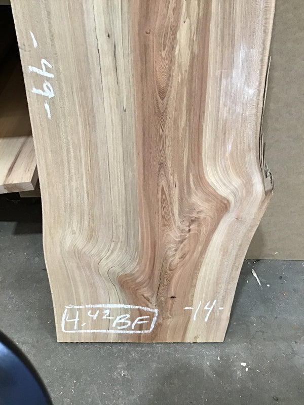 Red Elm Slab #RE13 #CB