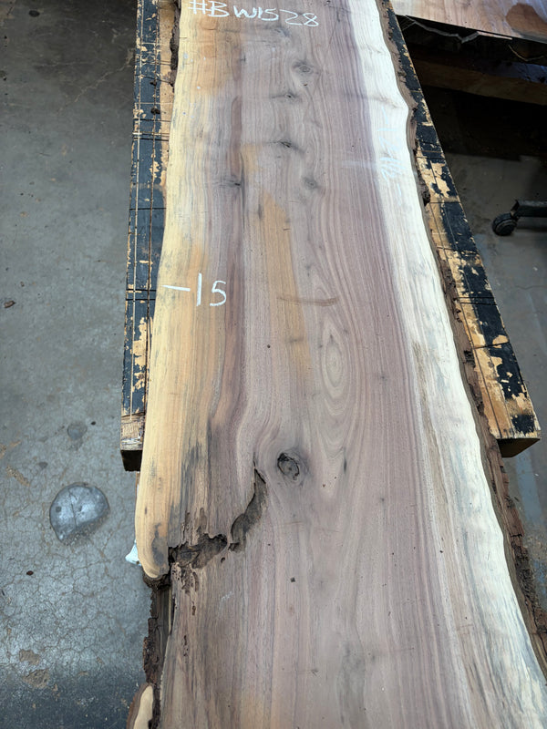Black Walnut #BW1528