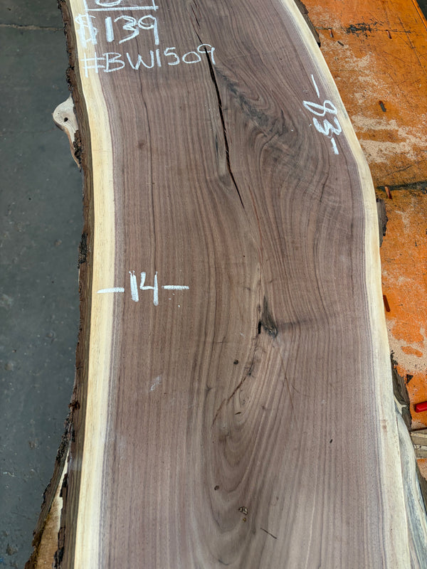 Black Walnut #BW1509
