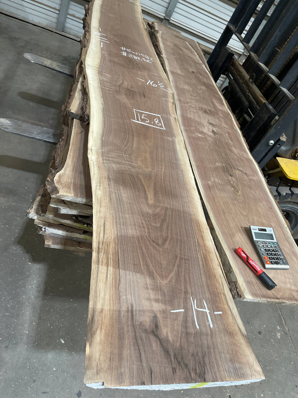 Black Walnut #BW1582