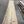 Load image into Gallery viewer, Catalpa #CA1702
