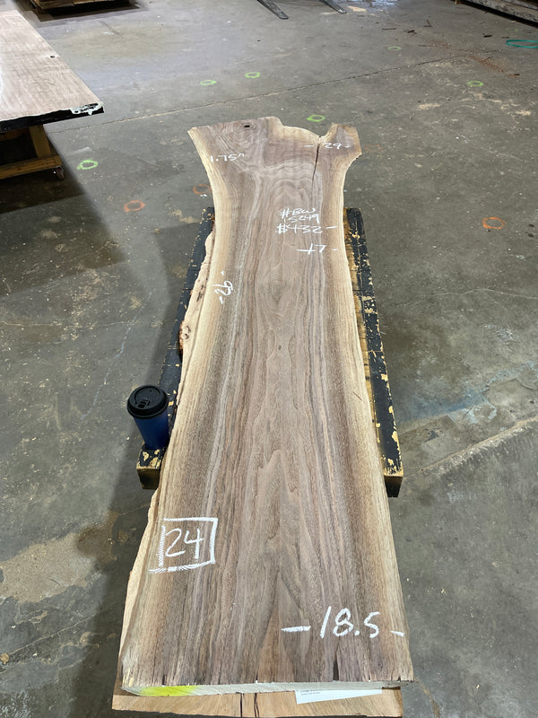 Black Walnut #BW15249