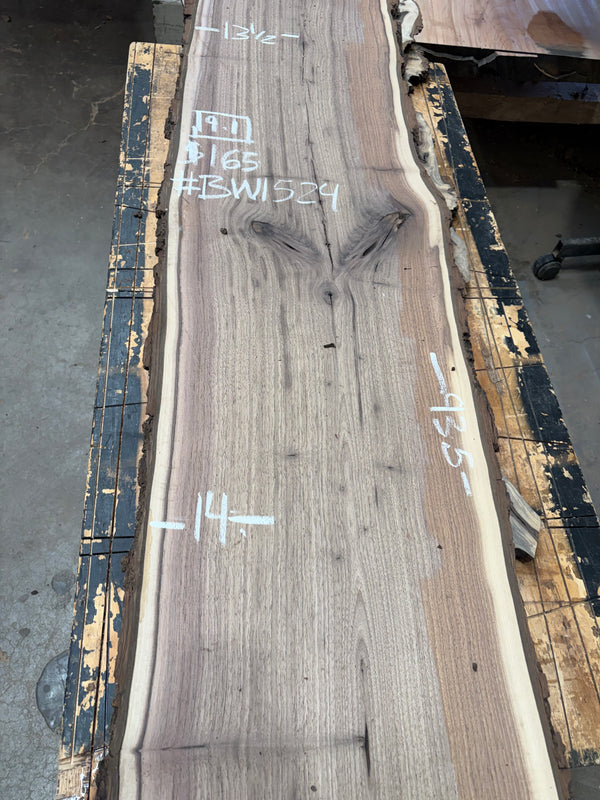 Black Walnut #BW1524
