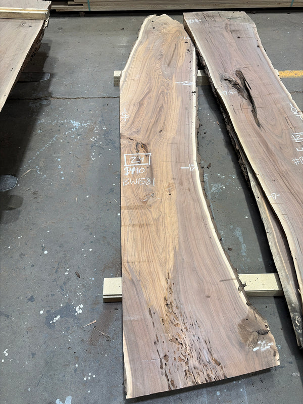 Black Walnut #BW1581