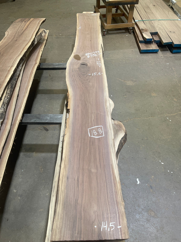 Black Walnut #BW1598