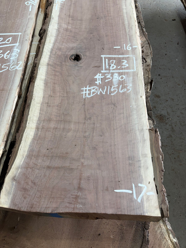 Black Walnut #BW1563