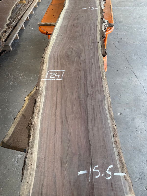Black Walnut Live Edge Slab #BW1595 – 24 BF, 159" Long