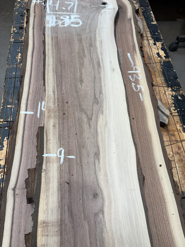 Black Walnut #BW1526