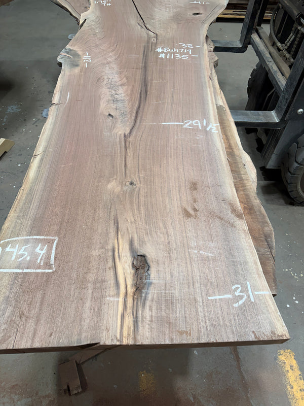 Black Walnut #BW1719