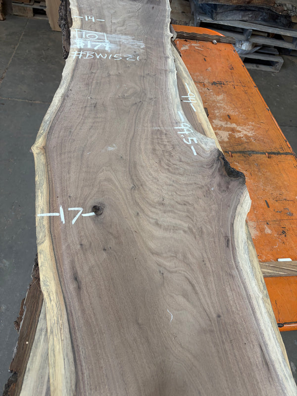 Black Walnut #BW1521