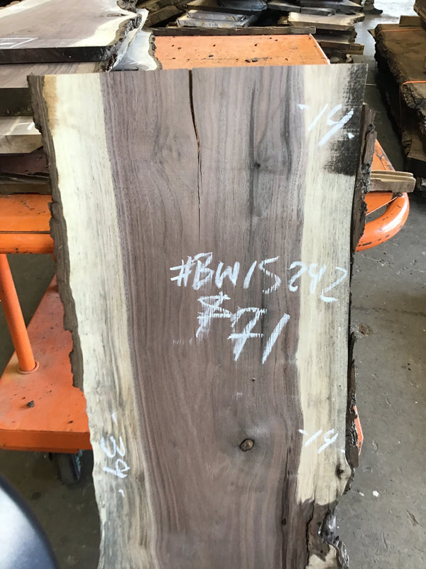 Black Walnut Slab #BW15242