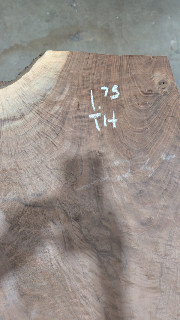 Black Walnut Live Edge Slab #BW15300, 22.2 BF, 109.5 in. Long