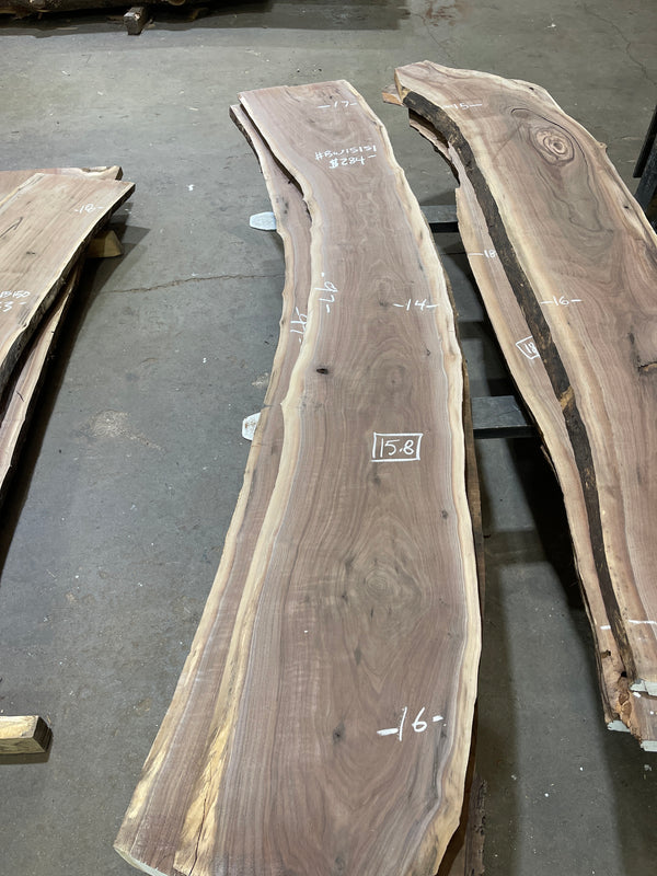 Black Walnut #BW15151