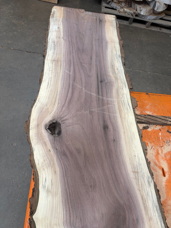 Black Walnut #BW15