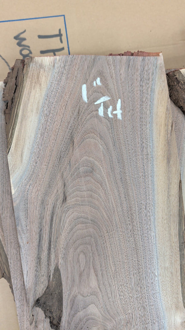 Black Walnut Live Edge Slab #BW013, 4.2 BF, 76 in. Long