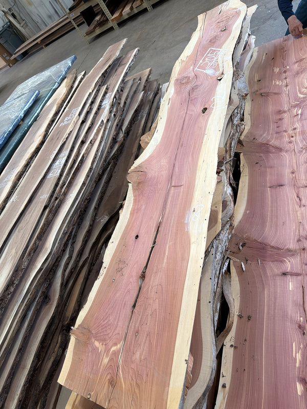 Cedar #C1705