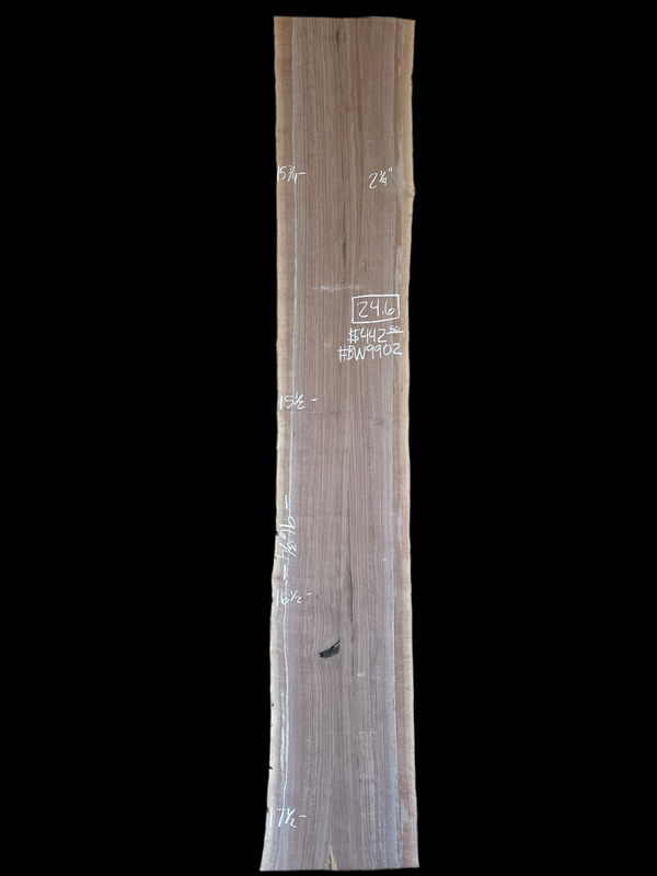 Black Walnut #BW9902