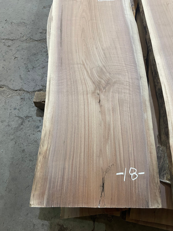 Black Walnut #BW1545