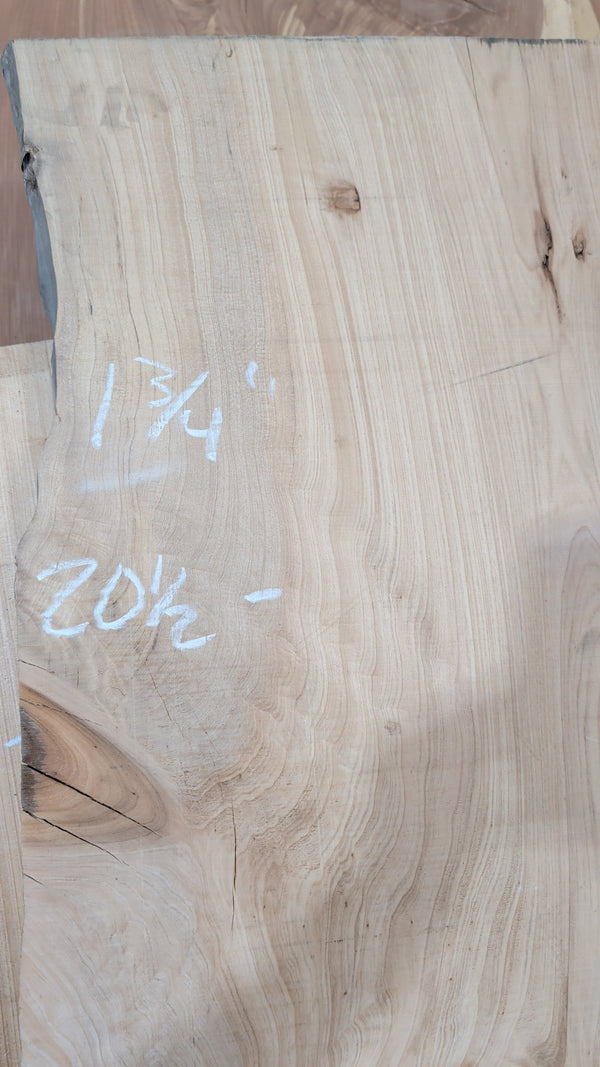 Bald Cypress live edge slab #CY03, end grain and thickness