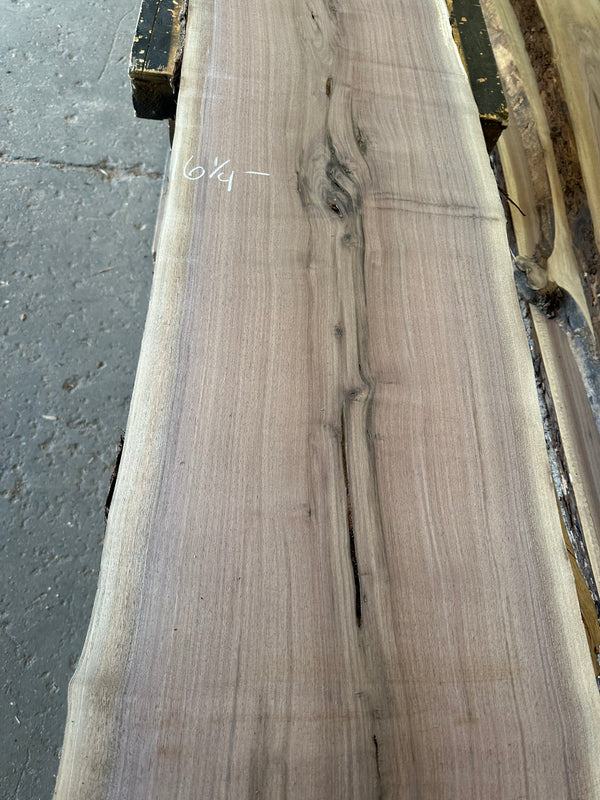 Black Walnut #BW1516
