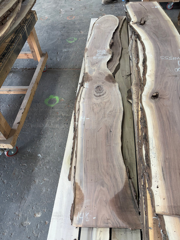 Black Walnut #BW1517