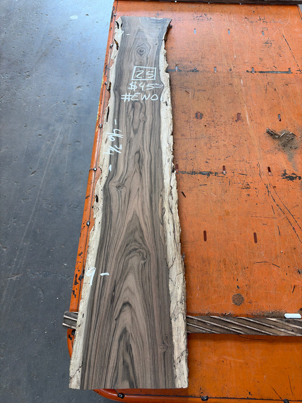 English walnut #EW01