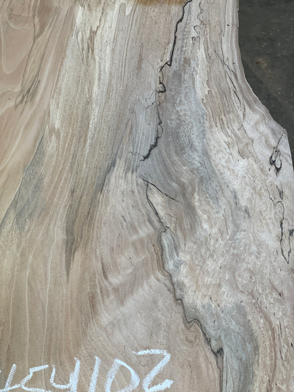 Sycamore #SY102