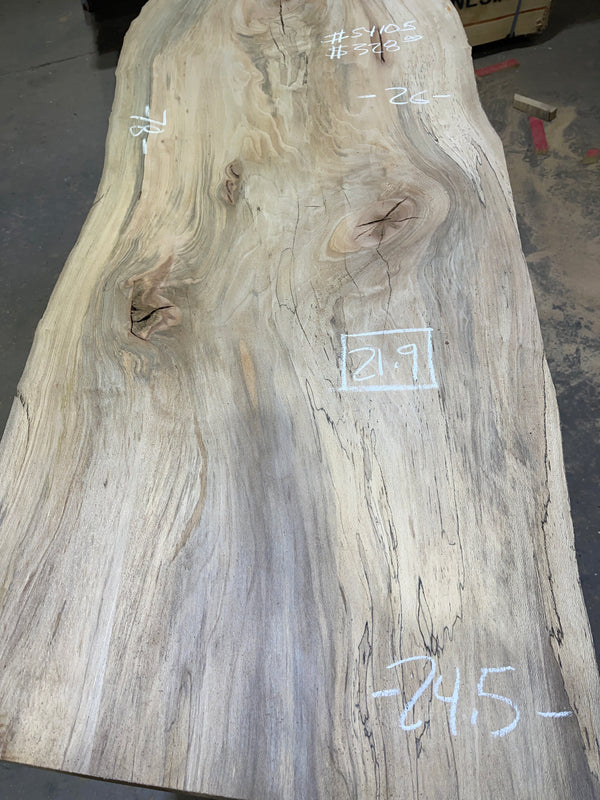 Sycamore #SY105