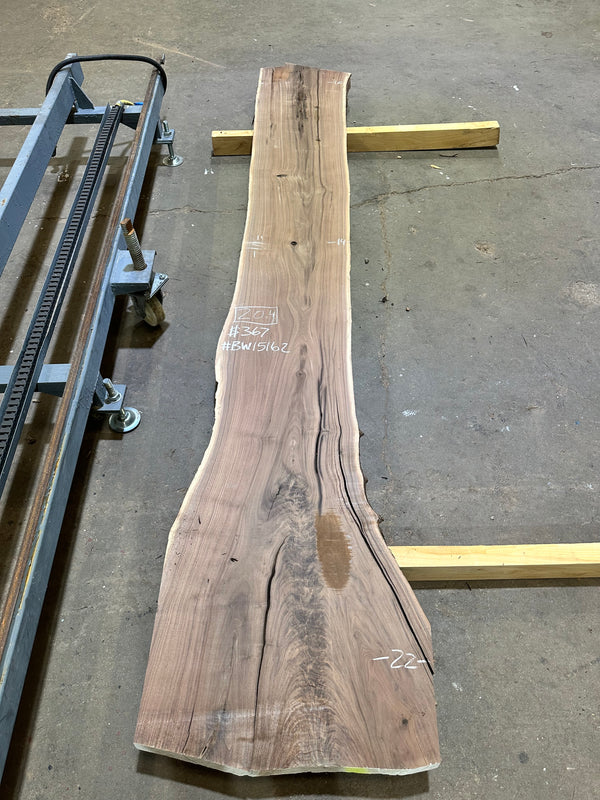 Black Walnut #BW15162