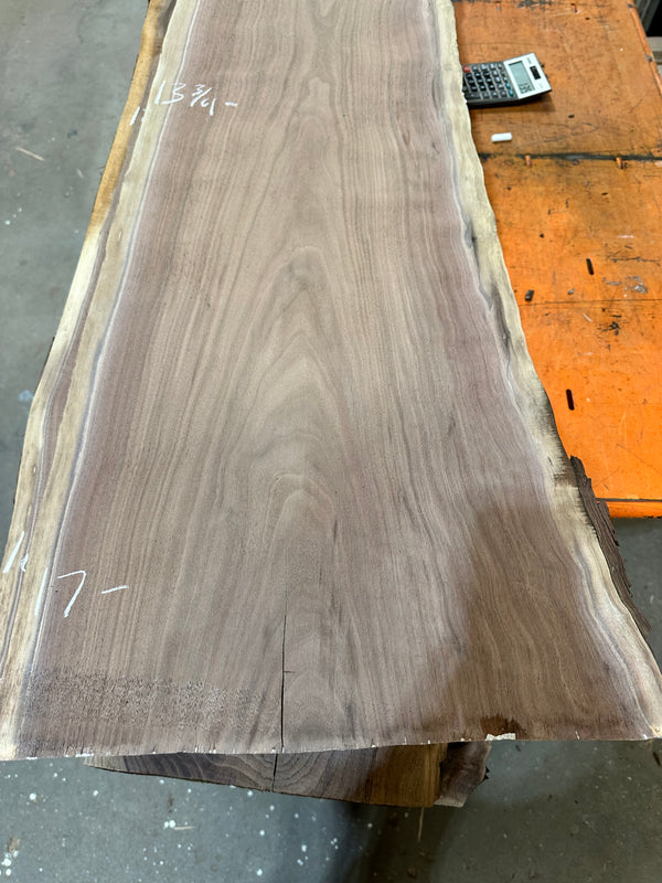 Black Walnut #BW15123