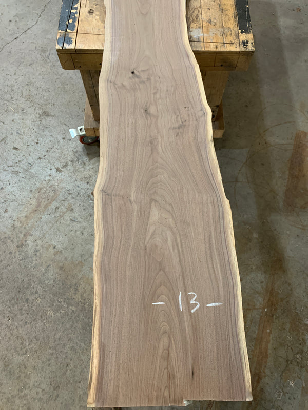 Black Walnut #BW1562