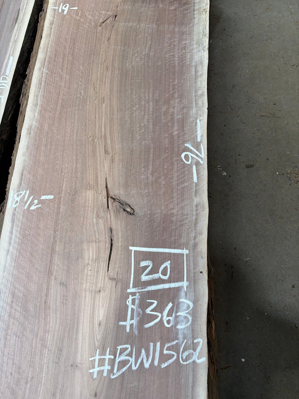 Black Walnut #BW1562