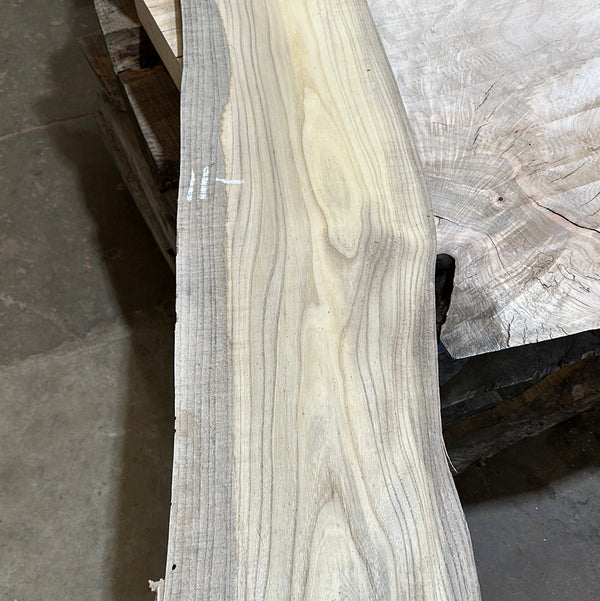 Hackberry #HB103