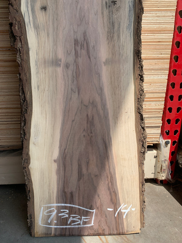 Black Walnut Slab #BW15229