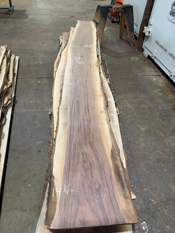 Black Walnut #BW1501