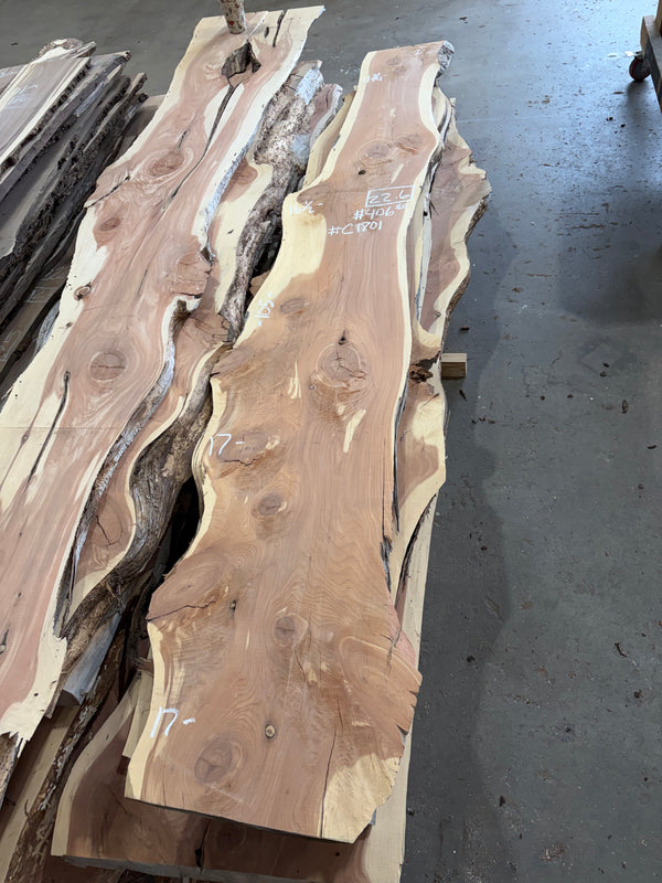 Cedar #C1701