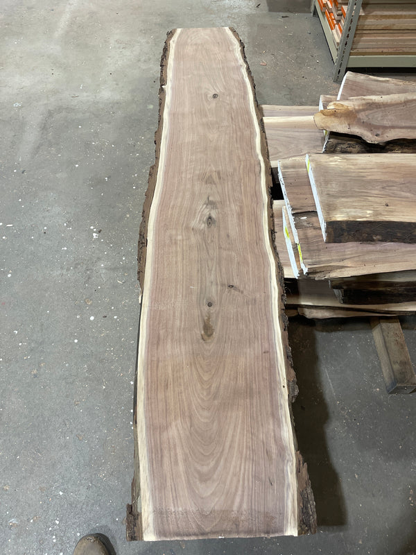 Black Walnut #BW1584