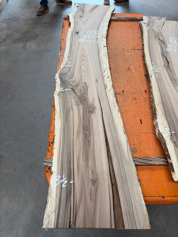 English Walnut #EW04