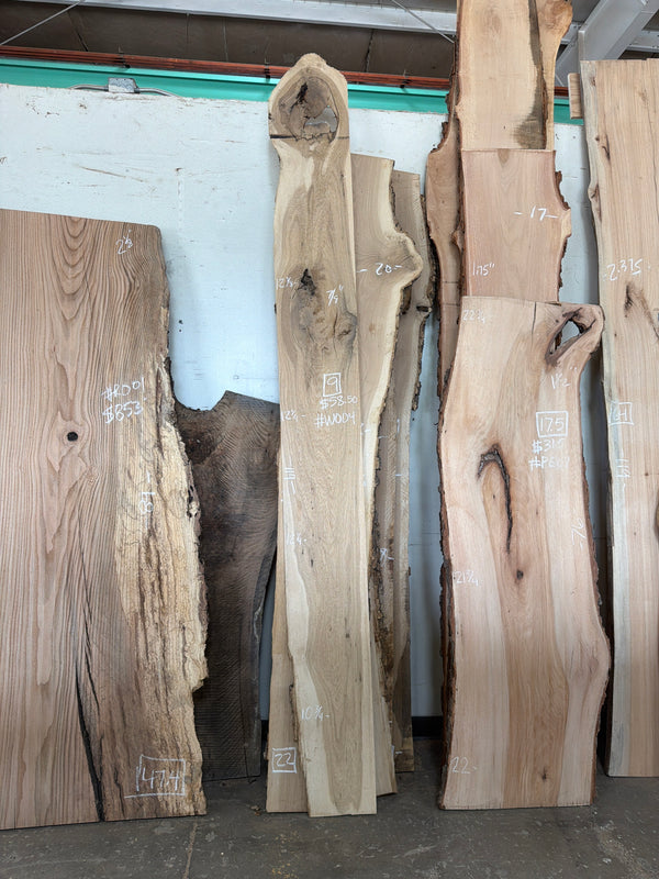 White Oak #WO04