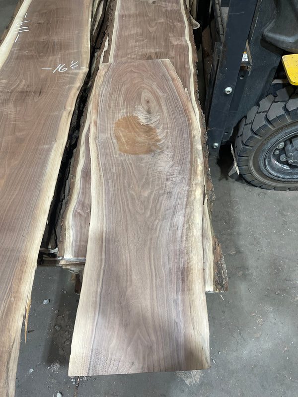 Black Walnut #BW1581