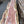 Load image into Gallery viewer, Cedar #C1707
