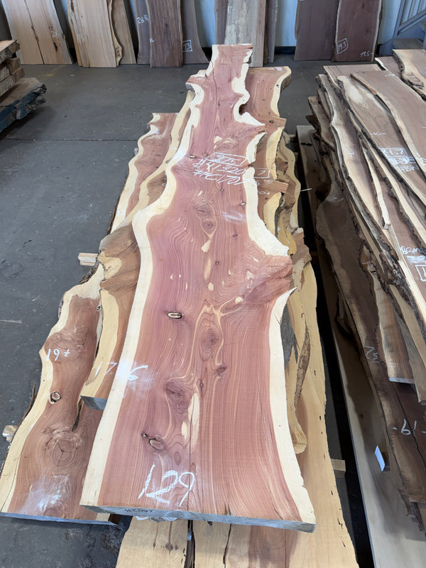 Cedar #C1707