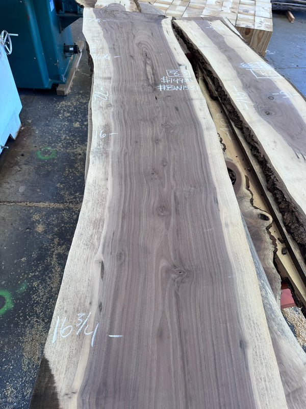 Black Walnut #BW1539