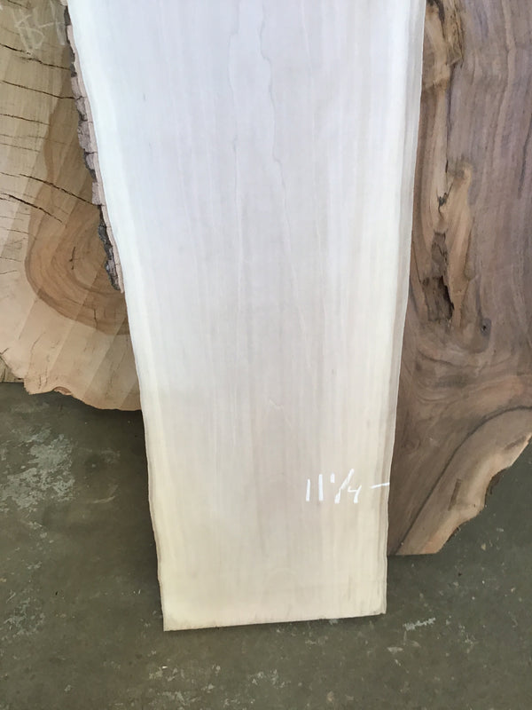 Sycamore #SY309