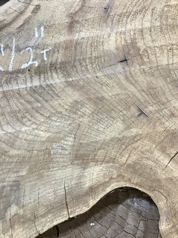 Red Elm #RE500