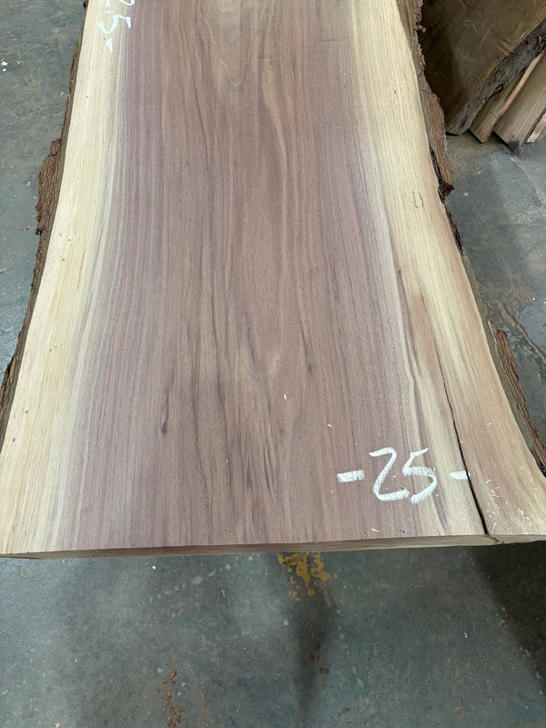 Black Walnut #BW1702