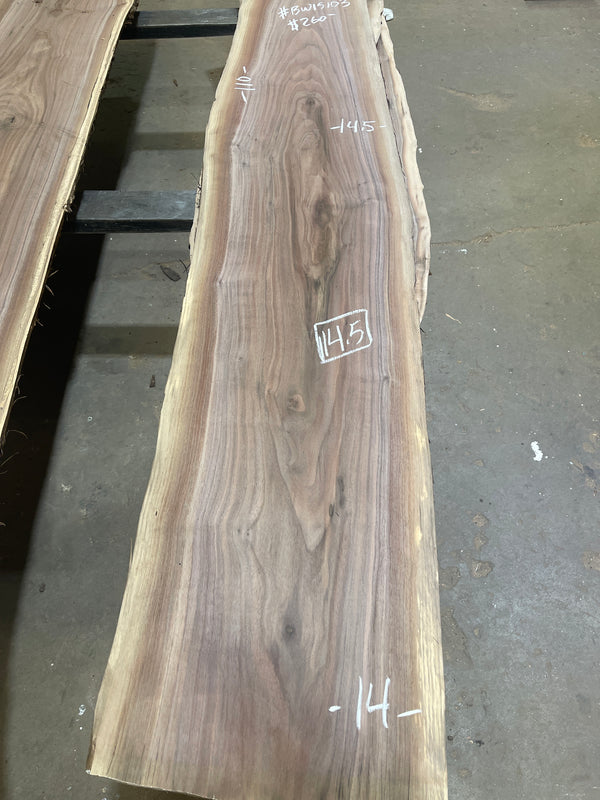 Black Walnut #BW15103