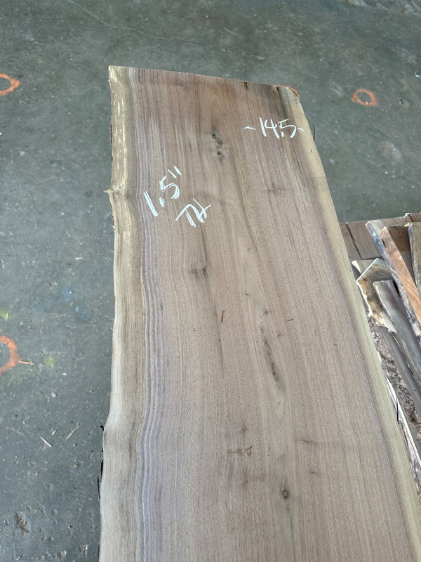 Black Walnut #BW1518